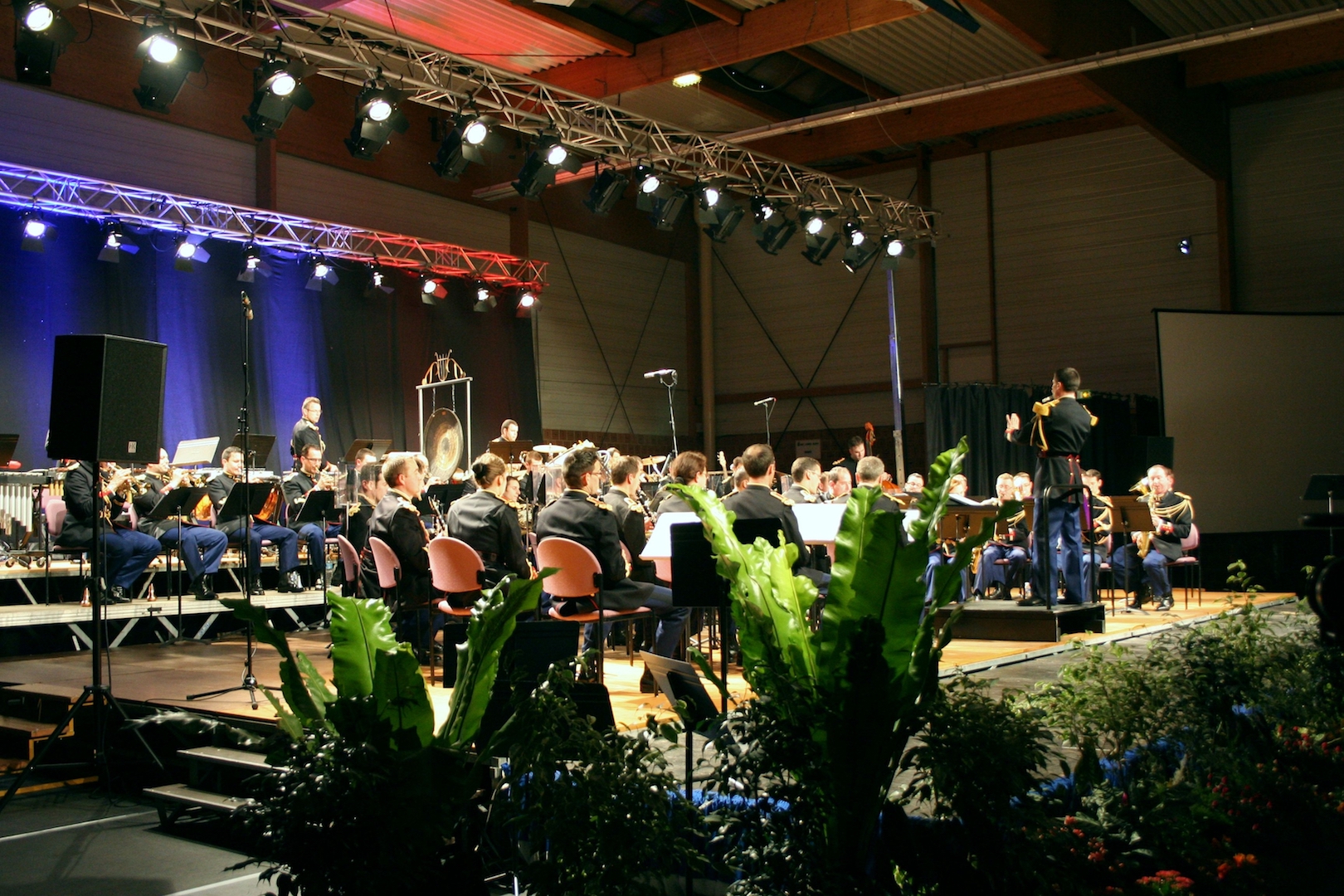 IMG 7641